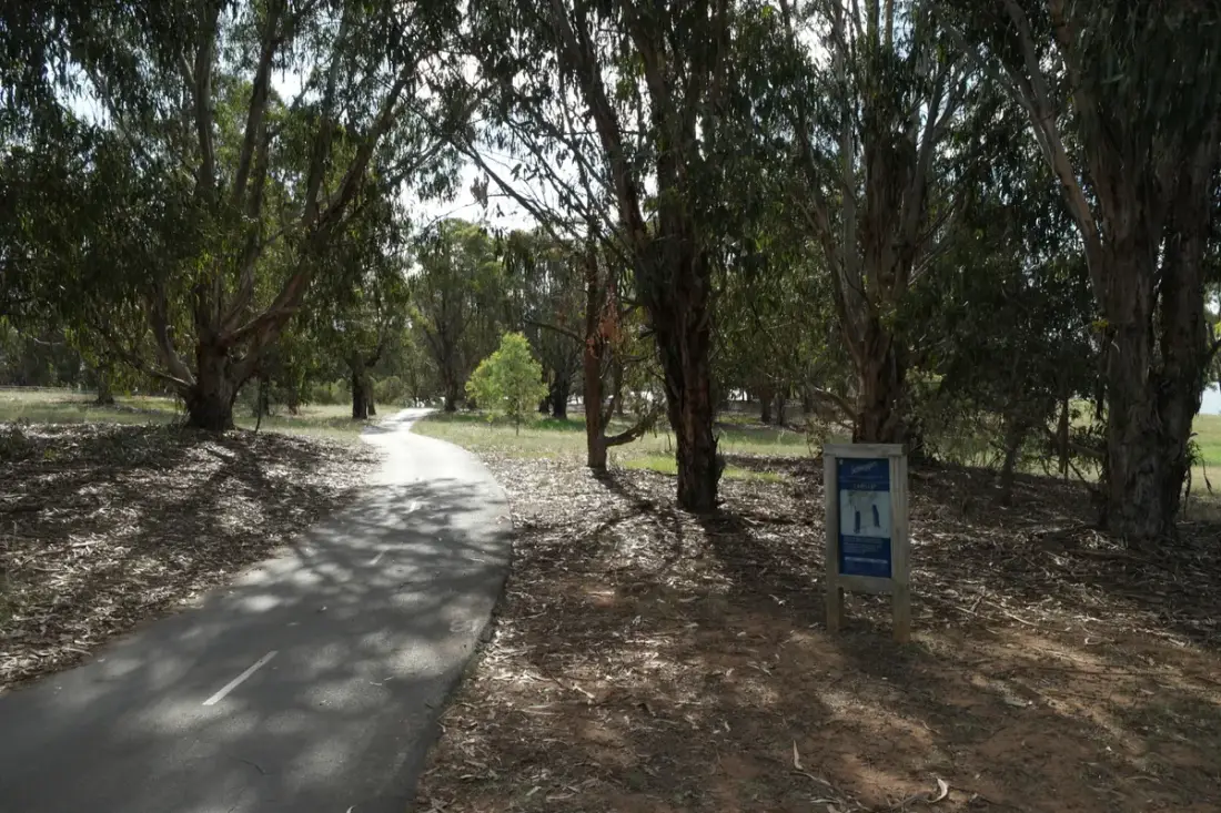 Tree-lined path beside Lake Burley Griffin in Canberra